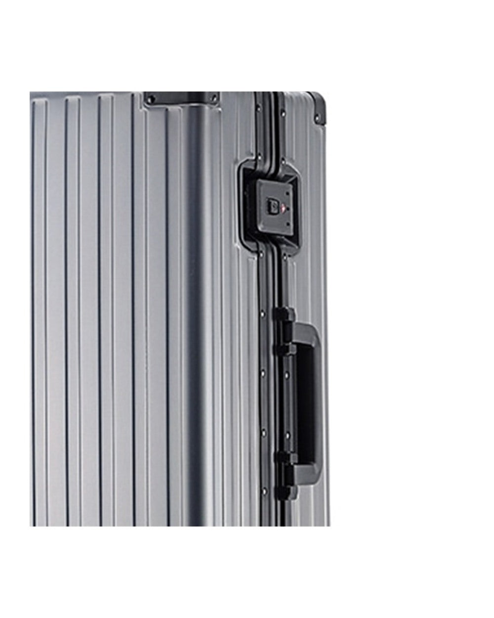 Original Check-In L Titanium — TSA Lock Detail